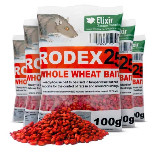 Rodex25 rat mouse - &, rodent
