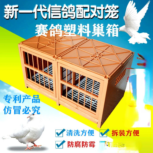 Pigeon matching cage breeding - pigeon,