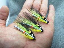 3 Silver Eternal Optimist