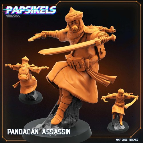 Pandacan assassin miniature - assassin,
