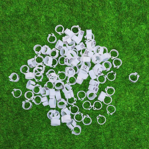 100 pcs pigeons foot rings - pcs,