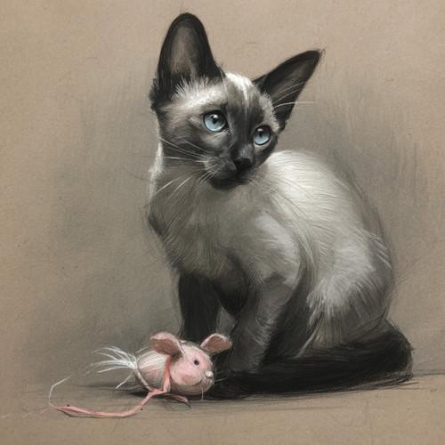 Siamese cat art pencil - siamese,