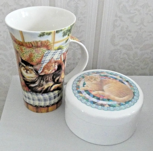 New leonardo cat - cat, and