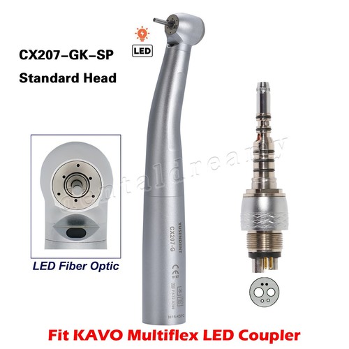 Coxo dental fiber optic - coxo,