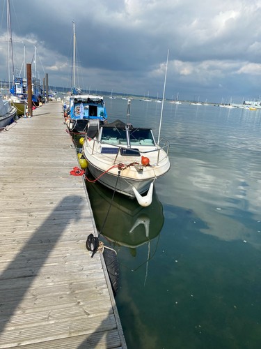 Robalo sports fishing - robalo,