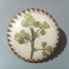 Vintage Lucky Irish Shamrock