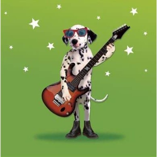 Dalmatian dog wearing - dalmatian,