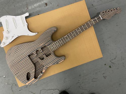 Electric guitar kit zebra - electric, kit,