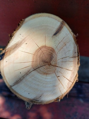 Cherry blanks turning - blanks, logs/