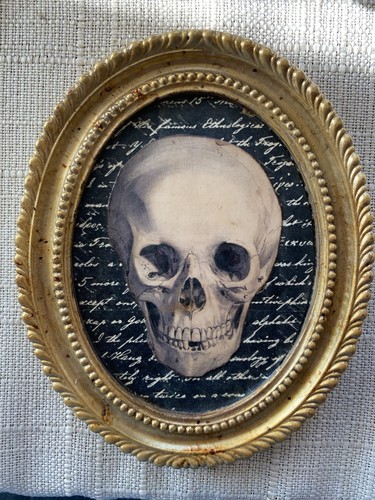 Vintage momento mori - mori,