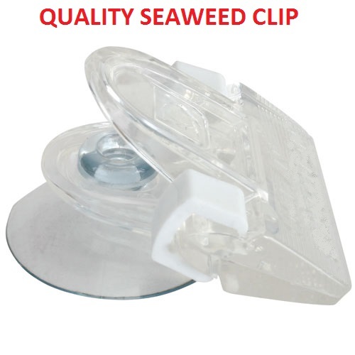 High quality seaweed - quality, for
