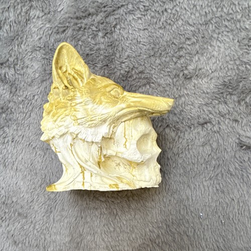 Gold white wolf skull resin - gold,