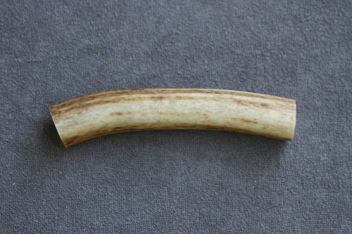 Real red deer antler section - deer,