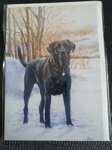 Black labrador greetings card - greetings,