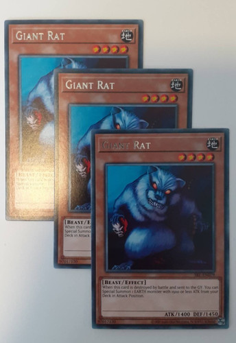 Giant rat rare - x,