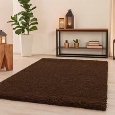 Thick Large Shaggy Rugs Non
