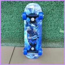 43cm Children Skateboard Maple