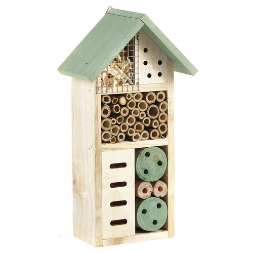 Pet ting wooden insect - pet,