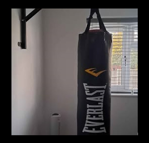Everlast boxing bag - and, frame