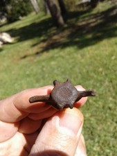 Beautiful Bargain Giant