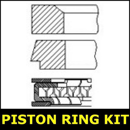 Piston ring kit - piston,
