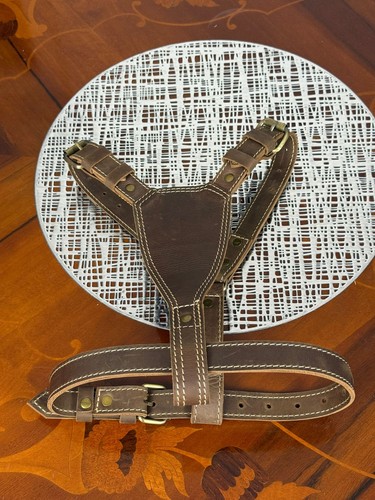 Heavy duty genuine leather dog - leather,