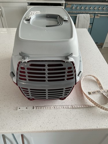 Pet cat small dog - cat, carrier
