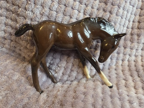 947 beswick bay foal - 947, with