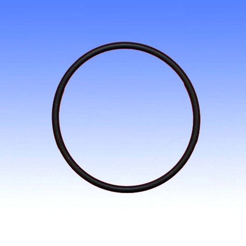 Valve gasket ring - gasket, o-ring