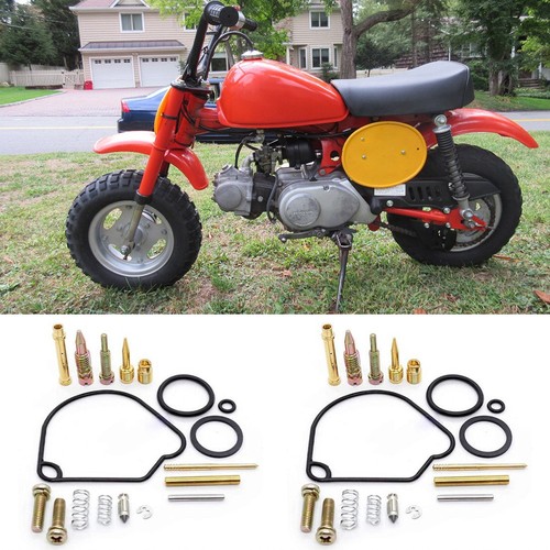 Carburetor repair kit - kit, the