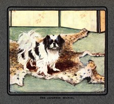 c1920 Antique Japanese Chin