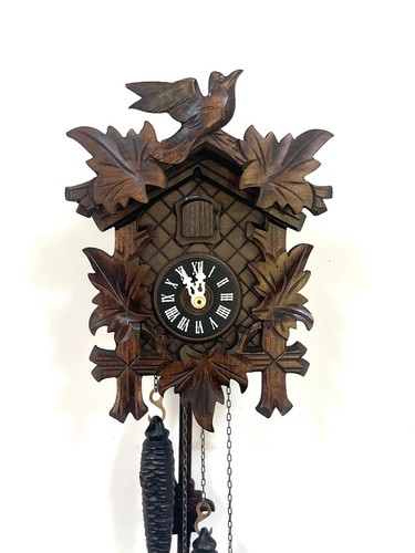 Regula black forest cuckoo - forest,