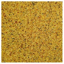 Bucktons Foreign Finch Bird Food Top Quality Seed Cage & Aviary Feed Loose Bags