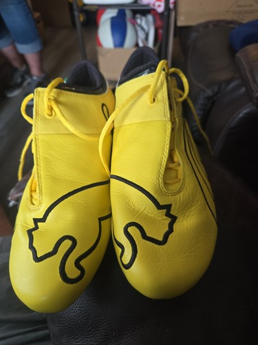 Vibrant yellow puma future cat - vibrant,