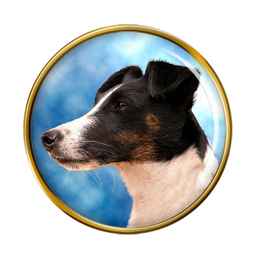 Smooth fox terrier - dog, lapel