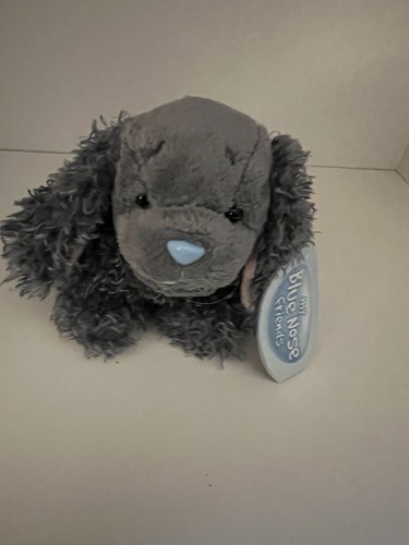 Blue nose friends - my,