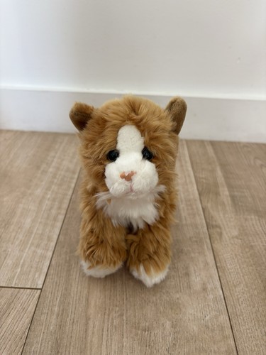 Soft sensations ginger - ginger, cat