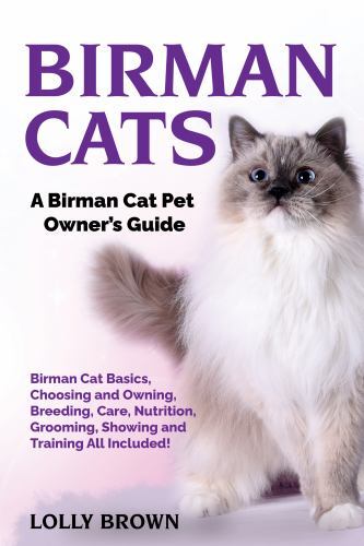 Birman cats - birman,
