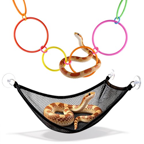 6ring snake climbing basking - 6ring,