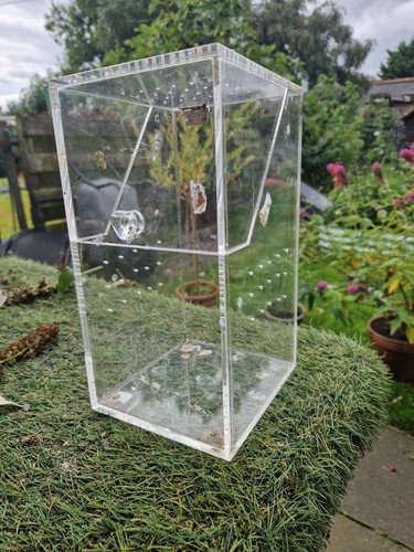 Jumping spider enclosure 25cm - jumping,
