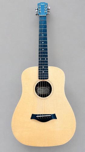 Taylor baby - taylor, 305-gb