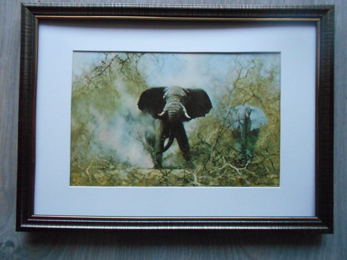 David shepherd print - print, 'dusty
