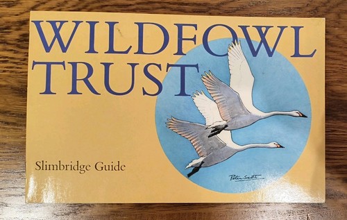 Wildfowl trust slimbridge - wildfowl,