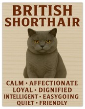 British Shorthair Grey Blue Cat Traits Large Metal Fridge Magnet Gift 139x107mm