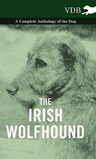 The Irish Wolfhound - A