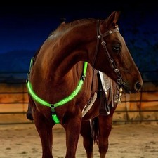 LED Horse Breastplate Harness