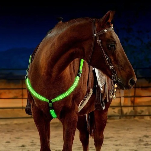 Led horse breastplate harness - horse,