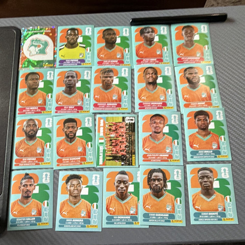 Panini fifa world - fifa, cup