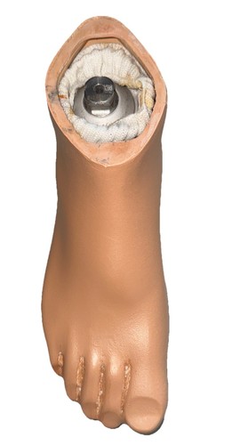 Otto bock 1m10 - prosthetic, leg