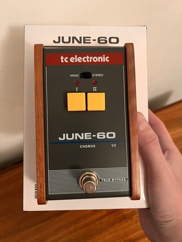 Electronic june chorus - electronic,
